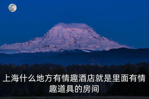 上海什么地方有情趣酒店就是里面有情趣道具的房間