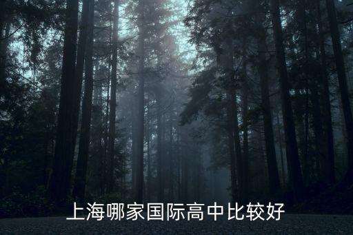 上海哪家國際高中比較好