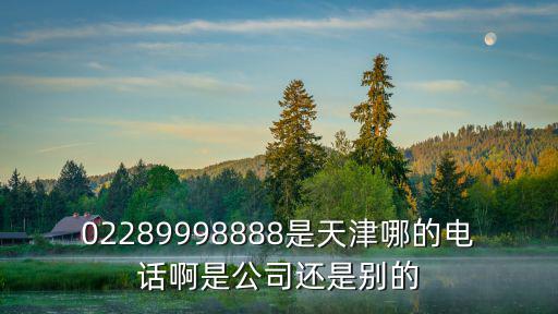 02289998888是天津哪的電話啊是公司還是別的