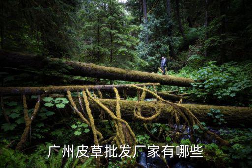 廣州皇廷皮草，廣州哪里買皮草