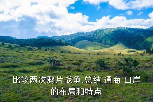通商口岸,擴展數據:沿海和沿江地區口岸最早邊境地區則較晚