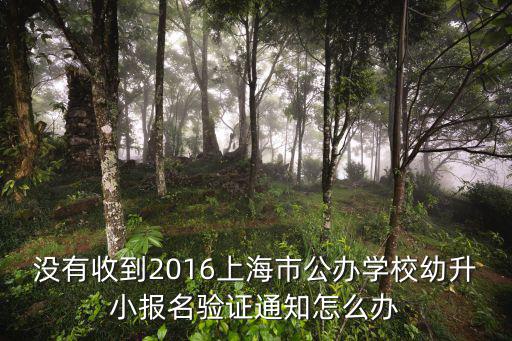 沒有收到2016上海市公辦學校幼升小報名驗證通知怎么辦