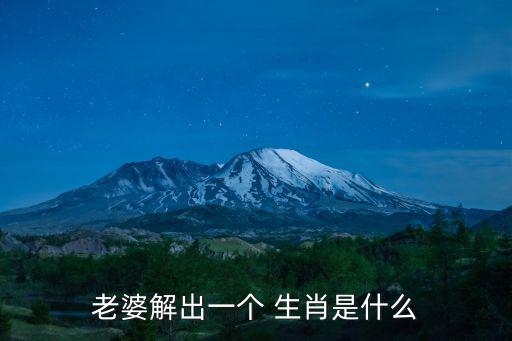 老婆解出一個(gè) 生肖是什么