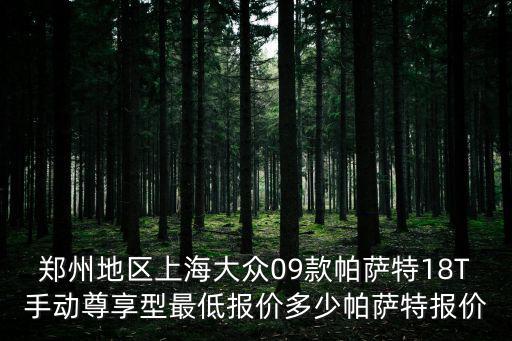 上海市帕薩特降價9萬，帕薩特最低價多少錢