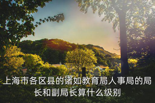 上海市各區縣的諸如教育局人事局的局長和副局長算什么級別