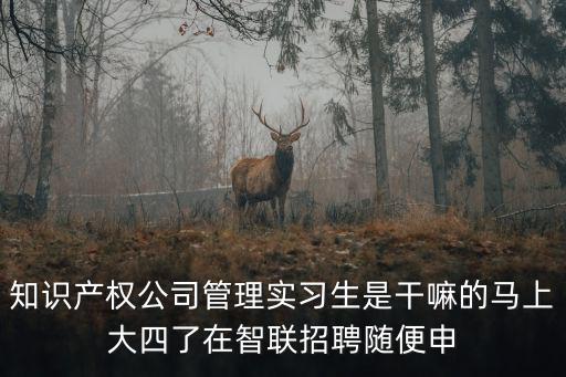 知識產權公司管理實習生是干嘛的馬上大四了在智聯招聘隨便申