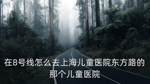 在8號線怎么去上海兒童醫(yī)院東方路的那個兒童醫(yī)院