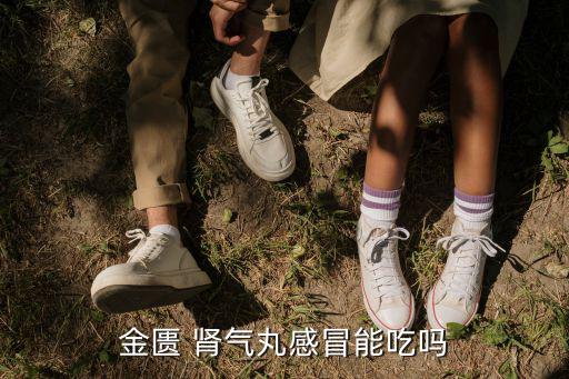 金匱 腎氣丸感冒能吃嗎