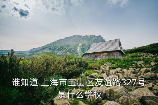 誰知道 上海市寶山區友誼路327號 是什么學校