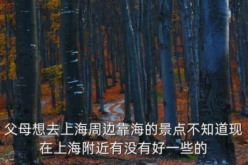 父母想去上海周邊靠海的景點不知道現在上海附近有沒有好一些的