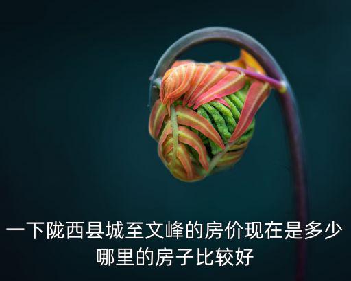 一下隴西縣城至文峰的房價現在是多少哪里的房子比較好