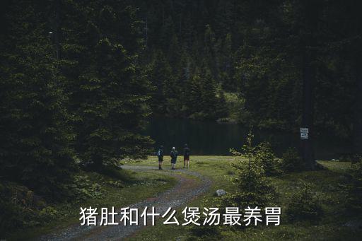 豬肚和什么煲湯最養胃