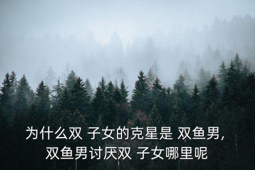 雙魚男雙子女,雙魚座男生欣賞雙魚女生對(duì)新事物的追求