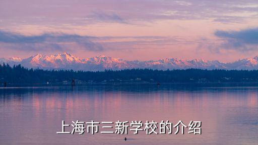 上海市三新學(xué)校的介紹