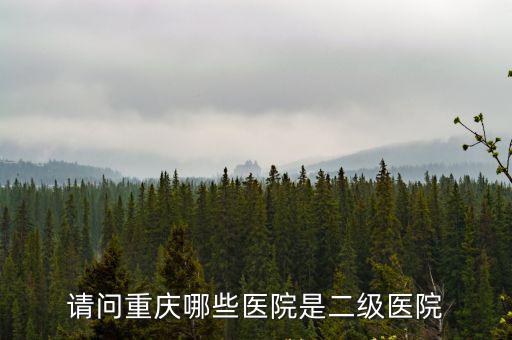 請問重慶哪些醫(yī)院是二級醫(yī)院