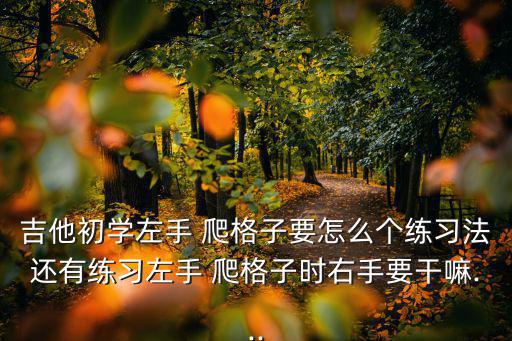 吉他初學左手 爬格子要怎么個練習法還有練習左手 爬格子時右手要干嘛...