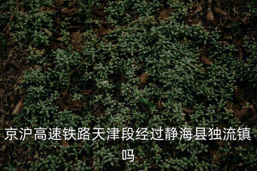 天津市靜海區獨流木橋七絕詩，京滬高速鐵路天津段經過靜海縣獨流鎮嗎