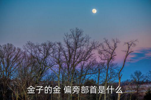 金子的金 偏旁部首是什么