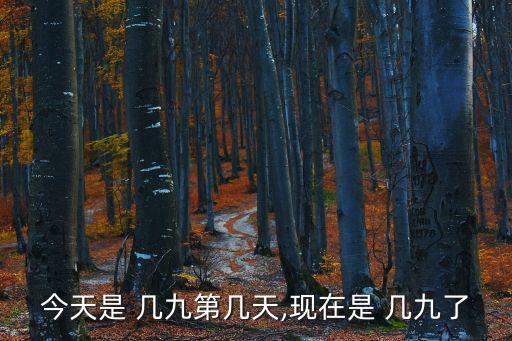 幾九,九月九日是一年中最冷的時候
