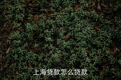 上海市商業銀行曹美陽信用貸款，上海貸款怎么貸款