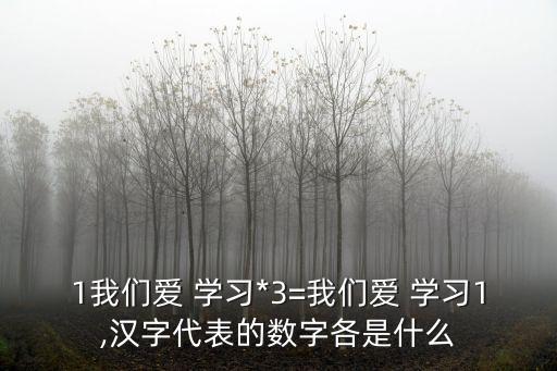 1我們愛 學習*3=我們愛 學習1,漢字代表的數字各是什么