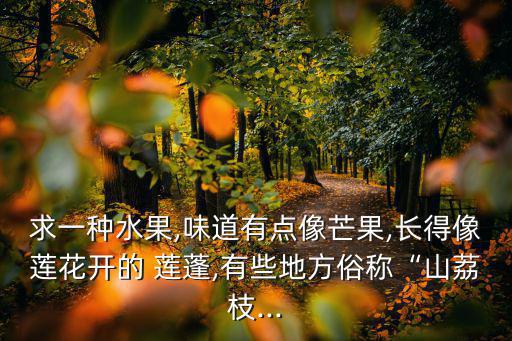 蓮蓬圖片,蓮蓬須、蓮雄蕊、蓮子皆可入藥