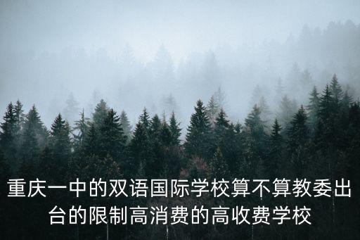 重慶一中的雙語國際學校算不算教委出臺的限制高消費的高收費學校
