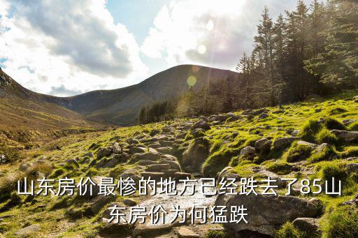 山東房價最慘的地方已經跌去了85山東房價為何猛跌