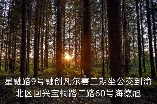 星融路9號融創(chuàng)凡爾賽二期坐公交到渝北區(qū)回興寶桐路二路60號海德旭