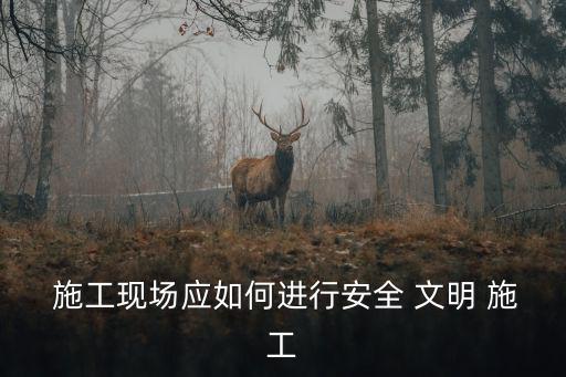  施工現(xiàn)場(chǎng)應(yīng)如何進(jìn)行安全 文明 施工