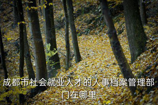 成都市社會(huì)就業(yè)人才的人事檔案管理部門(mén)在哪里