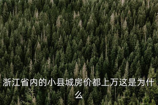 浙江省內的小縣城房價都上萬這是為什么