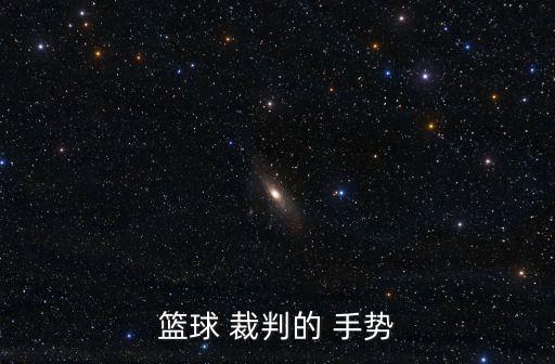 籃球 裁判的 手勢
