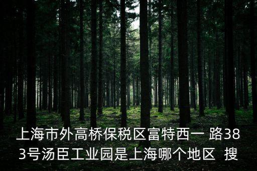 上海市外高橋保稅區富特西一 路383號湯臣工業園是上海哪個地區  搜