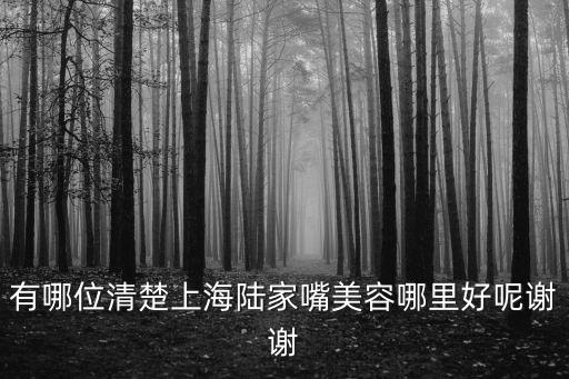 有哪位清楚上海陸家嘴美容哪里好呢謝謝
