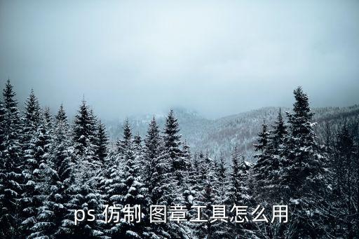  ps 仿制 圖章工具怎么用