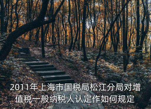 2011年上海市國稅局松江分局對增值稅一般納稅人認定作如何規定