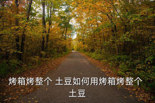 烤箱烤整個 土豆如何用烤箱烤整個 土豆