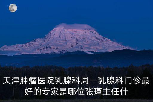 天津腫瘤醫(yī)院乳腺科周一乳腺科門診最好的專家是哪位張瑾主任什