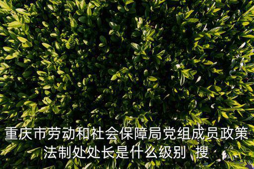 重慶市勞動和社會保障局黨組成員政策法制處處長是什么級別  搜