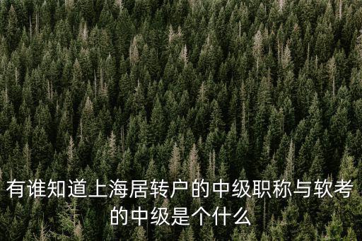 有誰知道上海居轉戶的中級職稱與軟考的中級是個什么