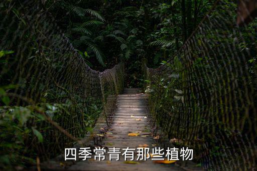 常綠樹,萬年青常綠植物介紹