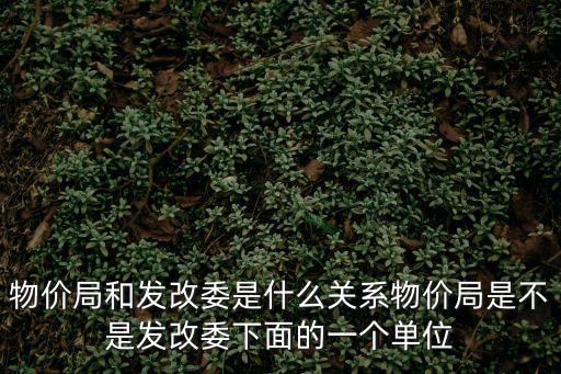 天津市發展改革委楊松黎，物價局和發改委是什么關系物價局是不是發改委下面的一個單位