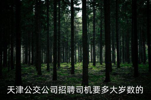 天津公交公司招聘司機要多大歲數(shù)的
