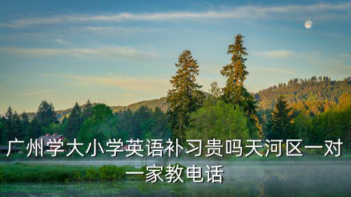 廣州學大小學英語補習貴嗎天河區(qū)一對一家教電話