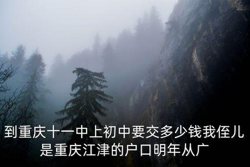 到重慶十一中上初中要交多少錢我侄兒是重慶江津的戶口明年從廣