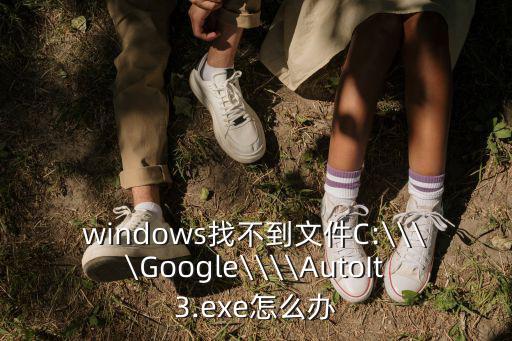 windows找不到文件C:\\\\Google\\\\AutoIt3.exe怎么辦