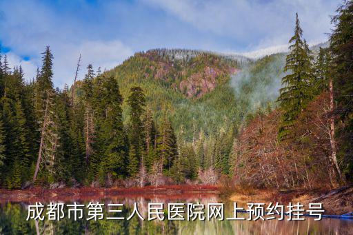 成都市第三人民醫院網上預約掛號