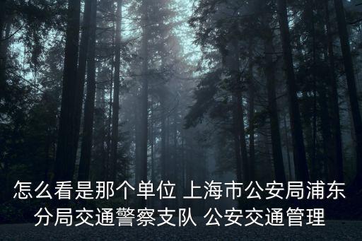 怎么看是那個(gè)單位 上海市公安局浦東分局交通警察支隊(duì) 公安交通管理