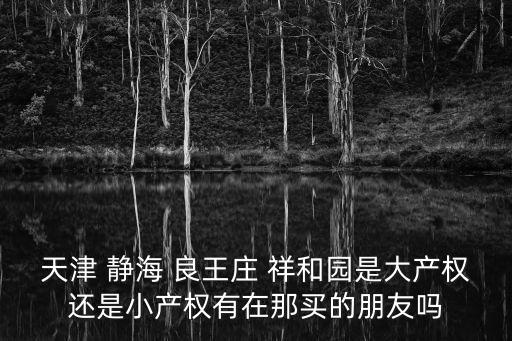 天津 靜海 良王莊 祥和園是大產權還是小產權有在那買的朋友嗎